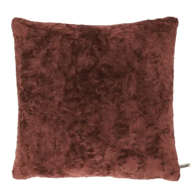 Claudi Bulus Bordeaux