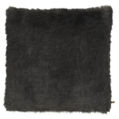 Claudi Fitou Anthracite