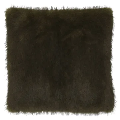 Claudi Fitou Olive