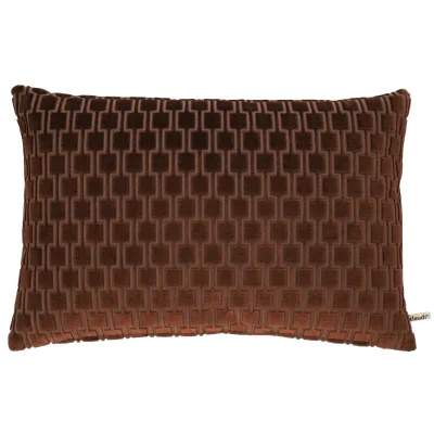 Claudi Frior Dark Brown