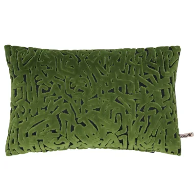 Claudi Lyrics Grass