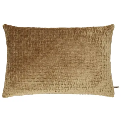 Claudi Mayer dark Gold