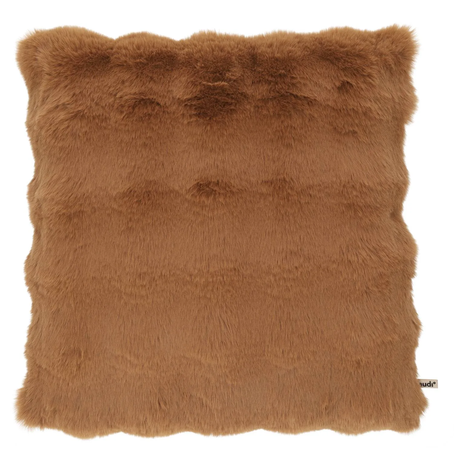 Claudi Medley Camel