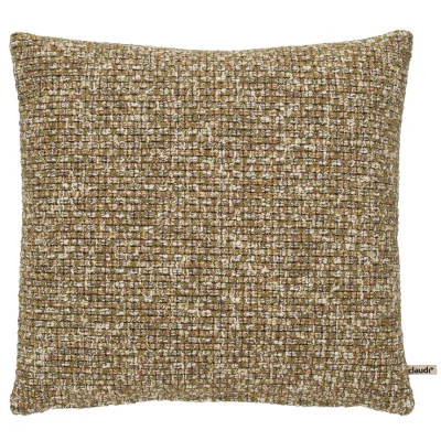 Claudi Pressige Olive