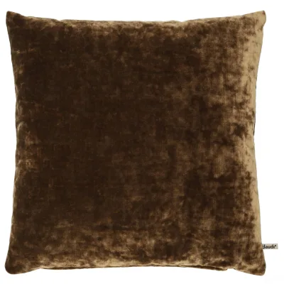 Claudi Severo camel