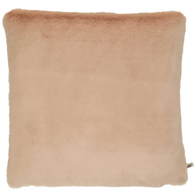 Claudi Wella Bont Rose