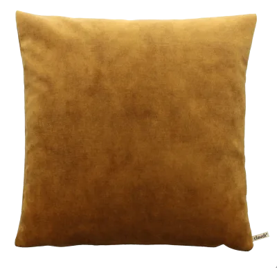 Claudi Adona Cognac